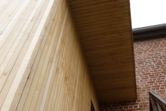 P1100198