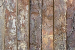 P1190163
