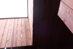 P1010642